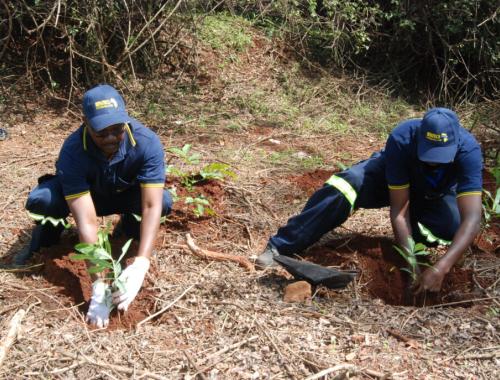 Tree Planting Exercise at Ngong